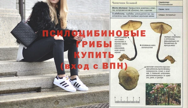 ALPHA PVP Абаза