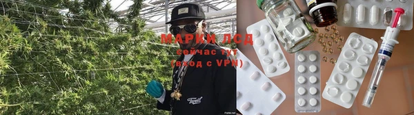 spice Новодвинск